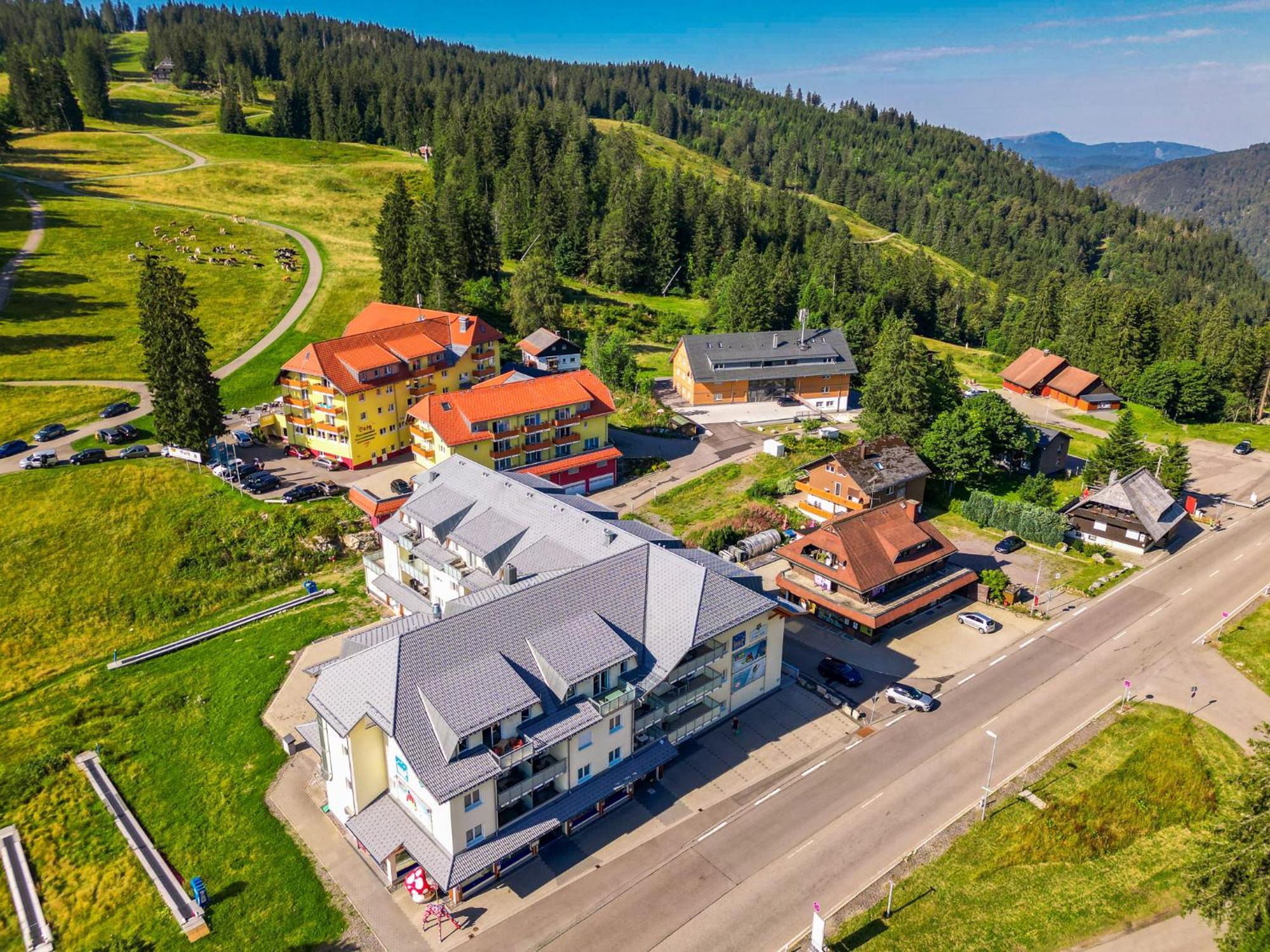 דירות Rinken Feldberg Domizil - Residenz Grafenmatt מראה חיצוני תמונה
